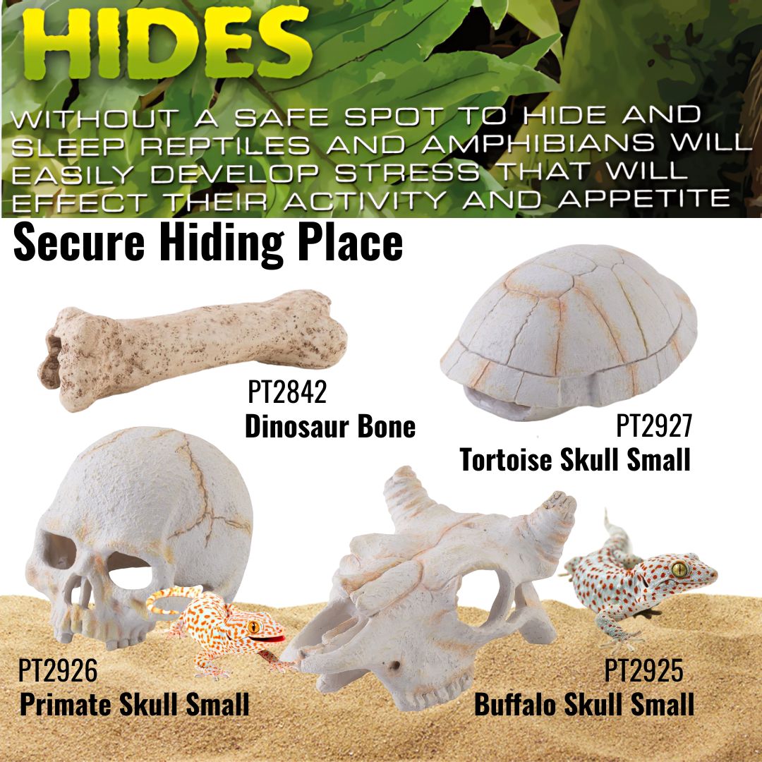 Exo Terra Tortoise Skull Small (PT2927)