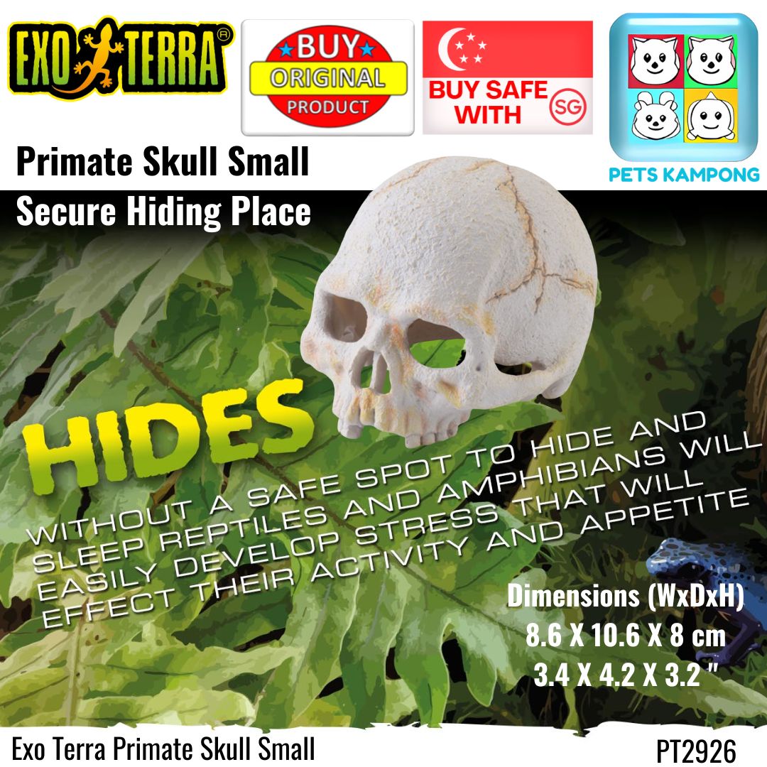 Exo Terra Primate Skull Small (PT2926)