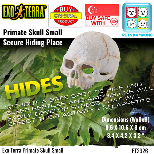 Exo Terra Primate Skull Small (PT2926)