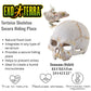 Exo Terra Primate Skull Small (PT2926)