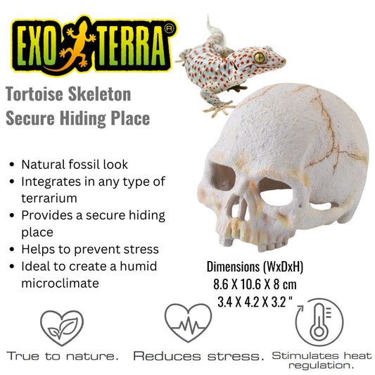 Exo Terra Primate Skull Small (PT2926)