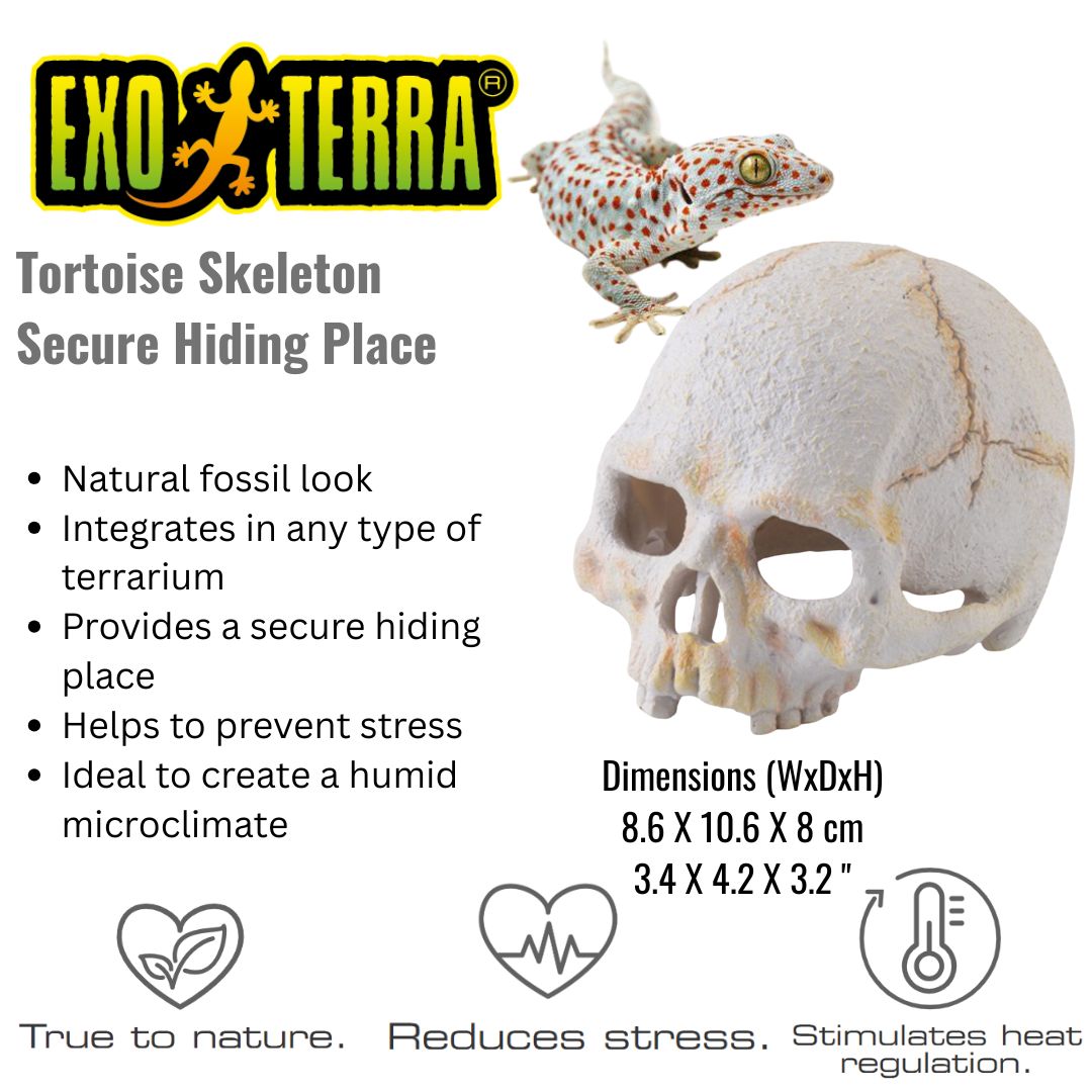 Exo Terra Primate Skull Small (PT2926)