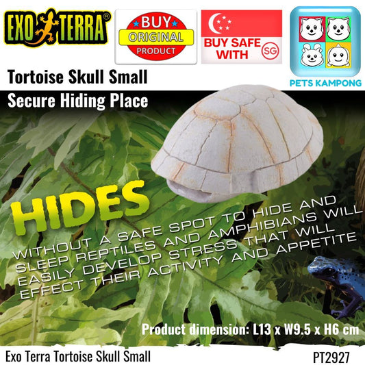 Exo Terra Tortoise Skull Small (PT2927)