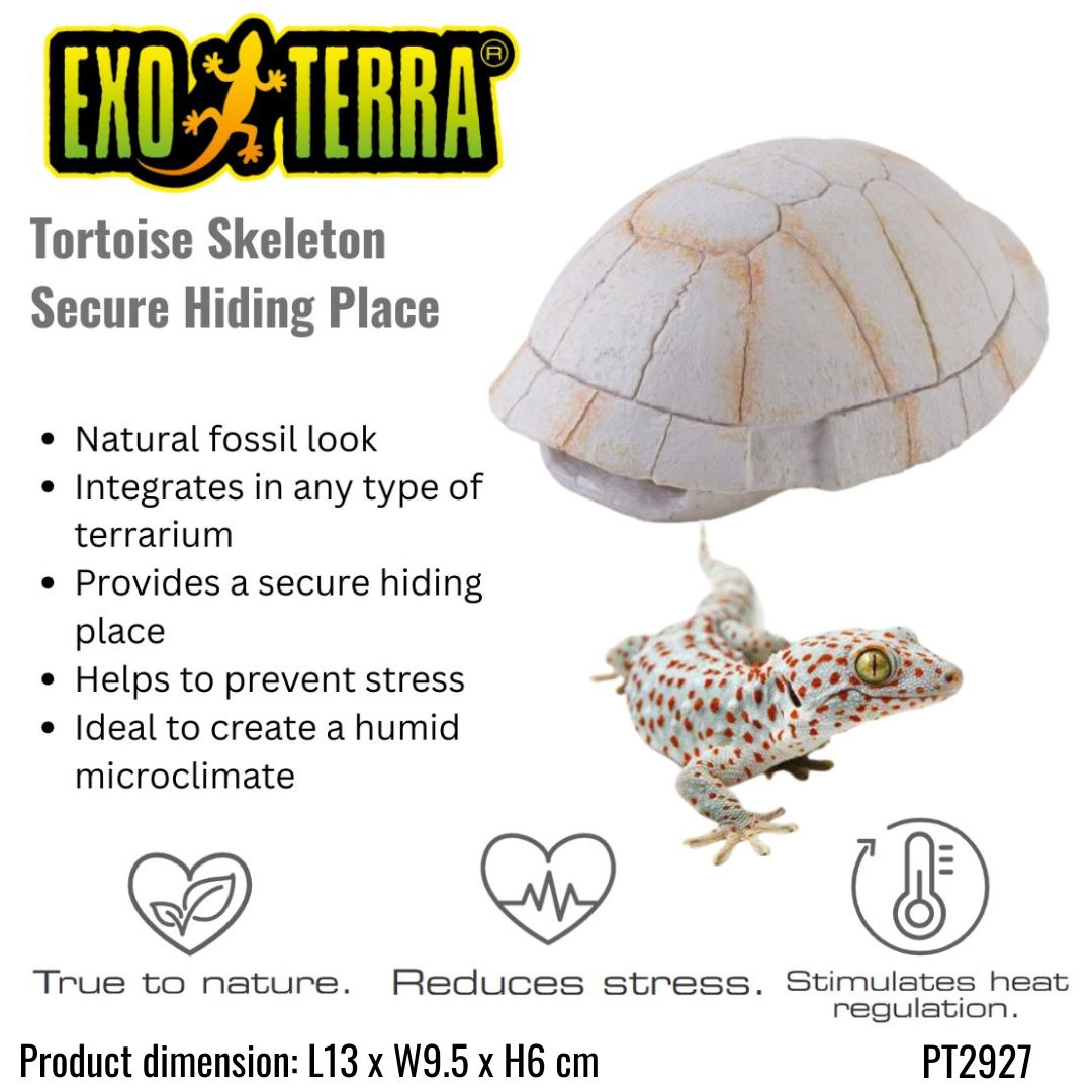 Exo Terra Tortoise Skull Small (PT2927)