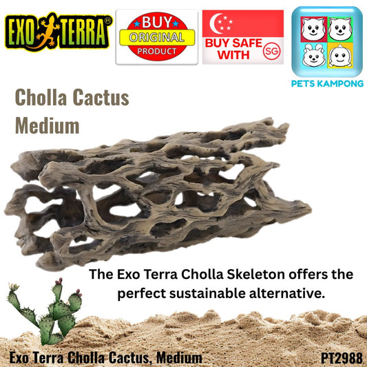 Exo Terra Cholla Cactus, Medium (PT2988)