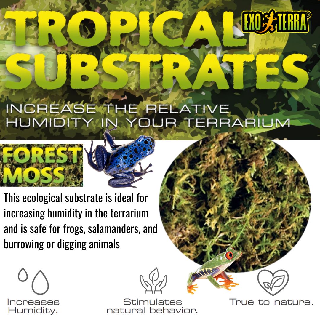 Exo Terra Forest Moss Tropical Terrarium Substrate (PT3095)