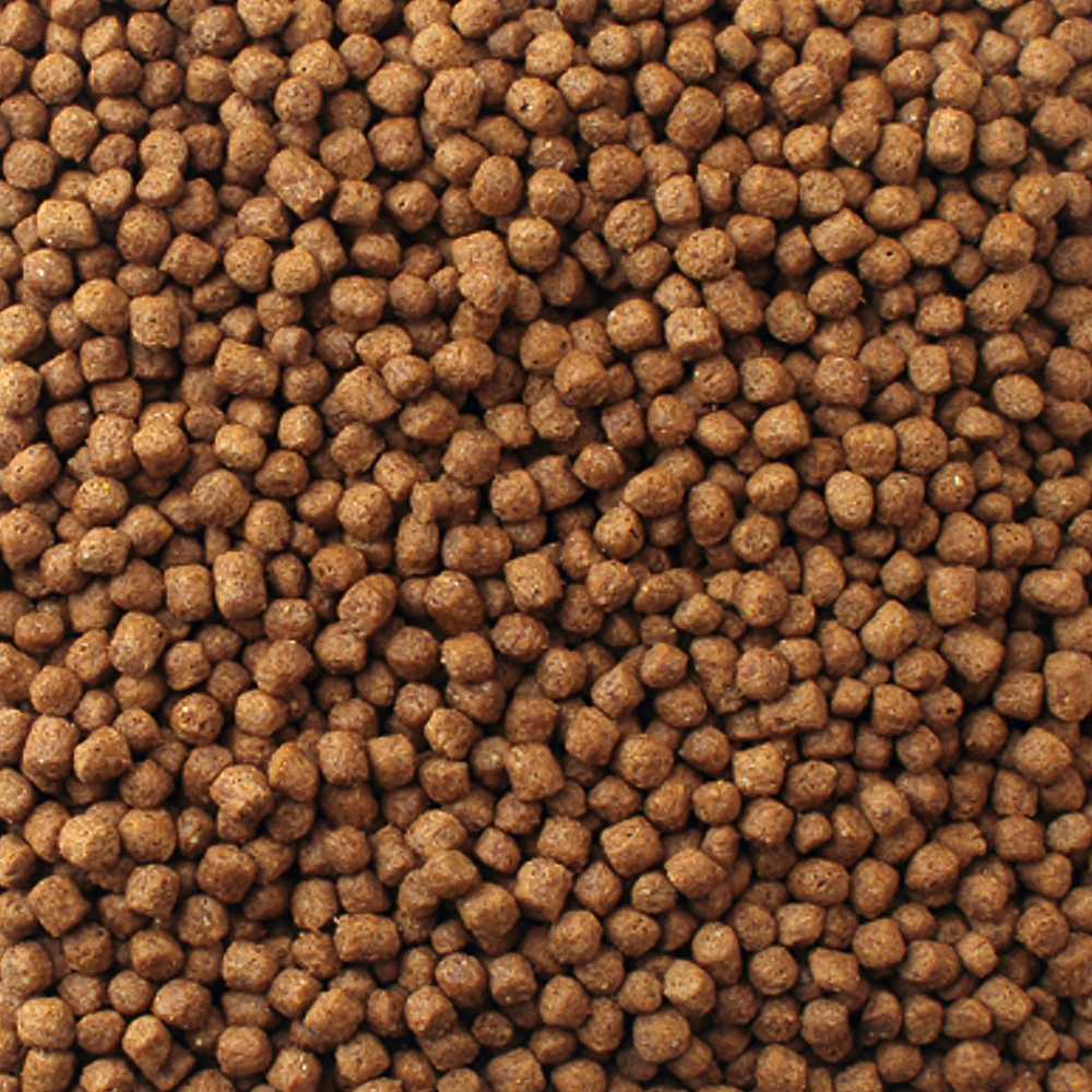 Mazuri Aquatic Turtle Diet 200g