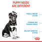 Royal Canin Canine Maxi Puppy 10kg