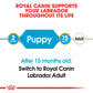 Royal Canin - Canine Breed Labrador Puppy 3kg