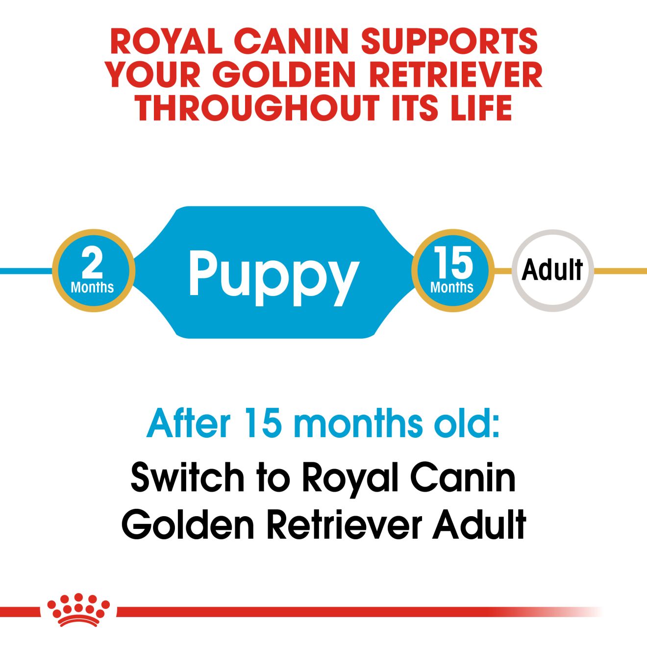 Royal Canin Canine Breed Golden Retriever Puppy 12kg