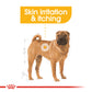 Royal Canin Canine Medium DermaComfort 12kg (Copy)