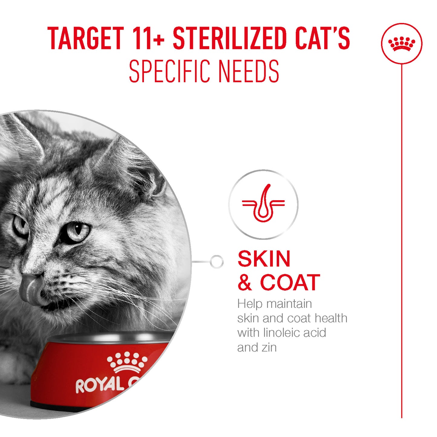 Royal Canin Feline Ageing Sterilised 11+ 2kg
