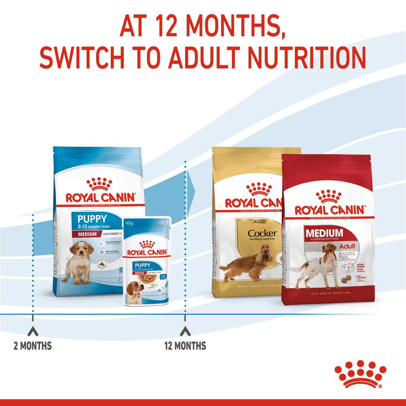 Royal Canin Canine Medium Puppy 4kg