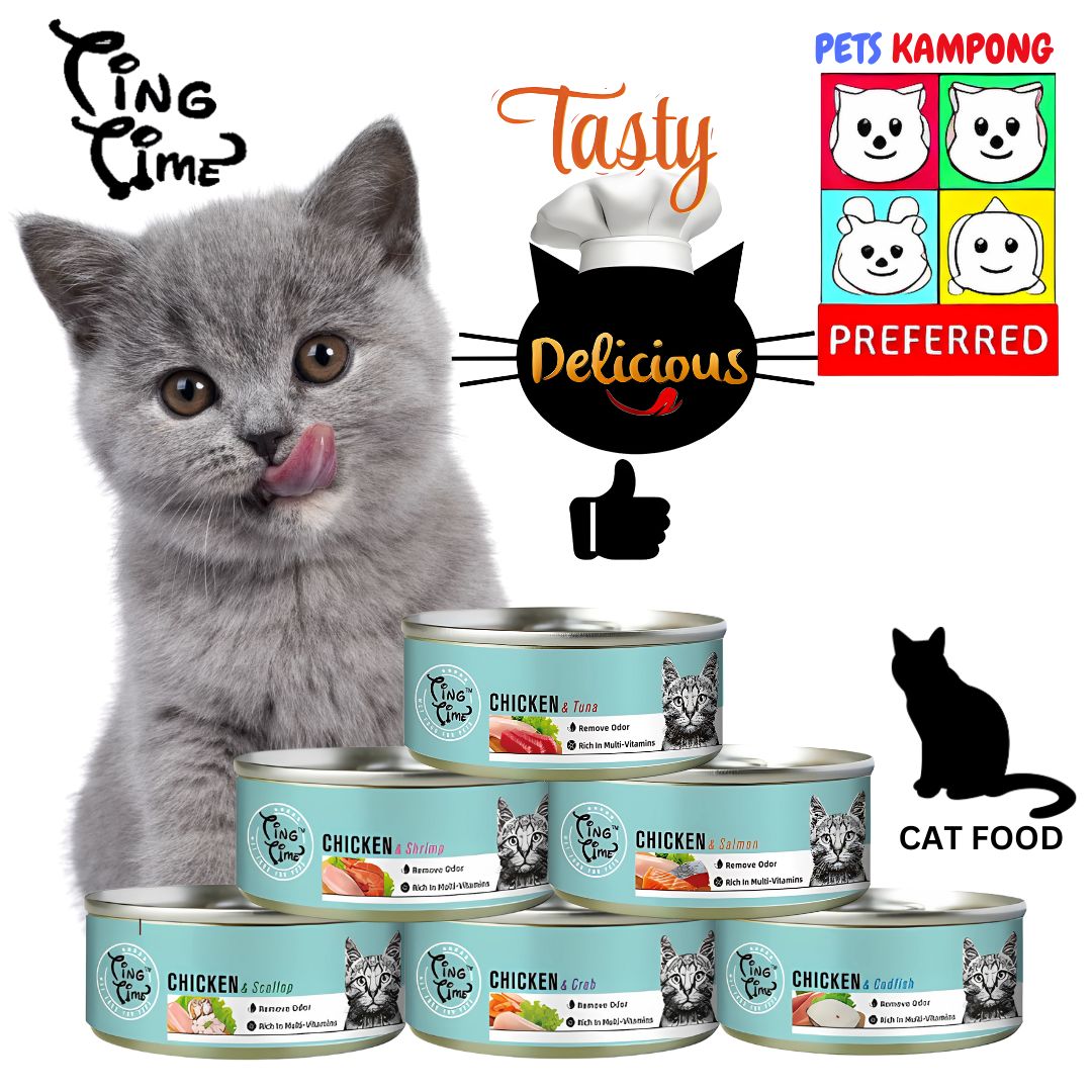 Ting Time Cat Canned Food 95g