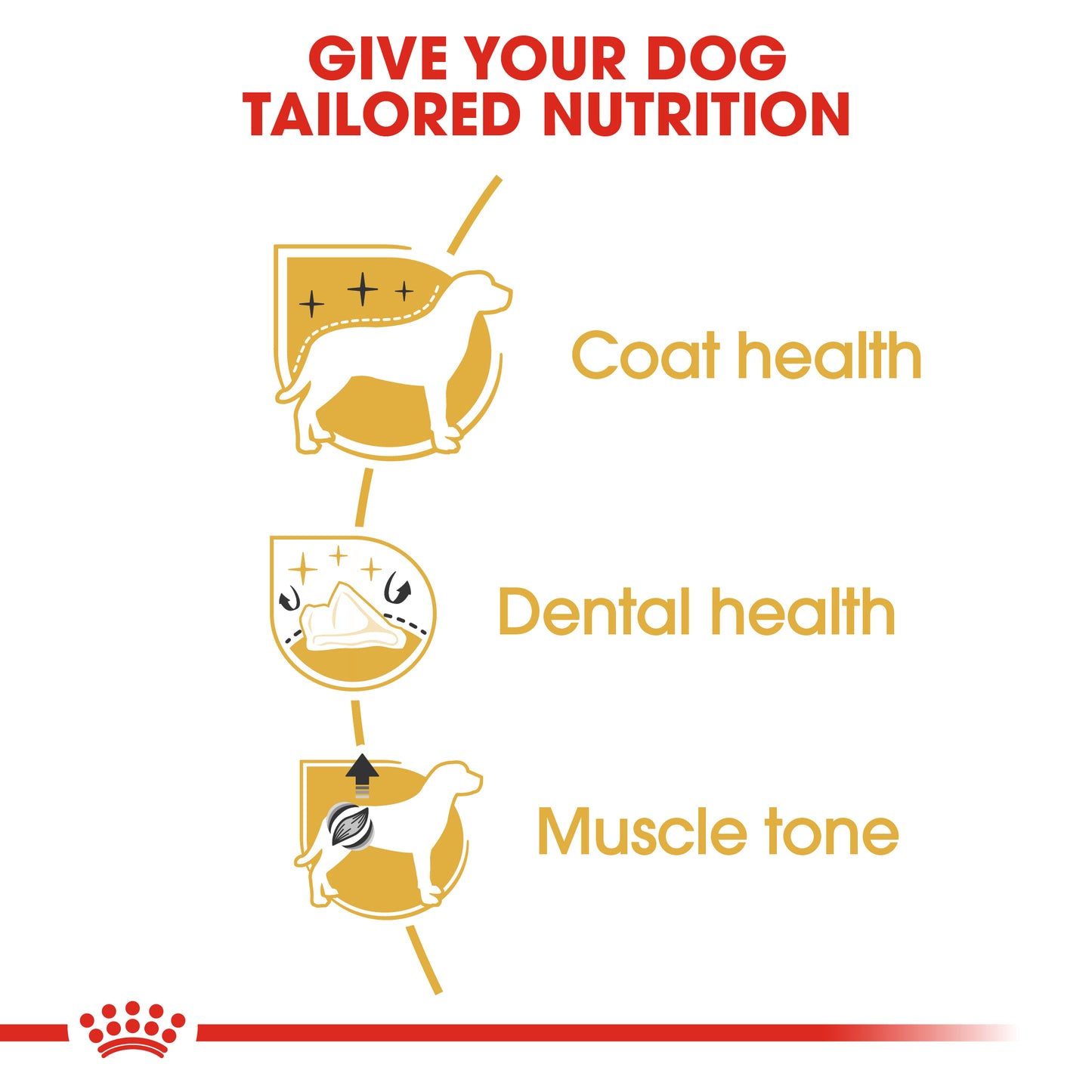 Royal Canin Canine Breed Poodle Adult 1.5kg