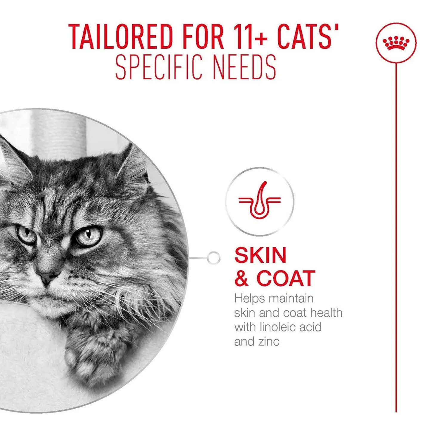 Royal Canin Feline Pouch Ageing +11 In [85g x 12]