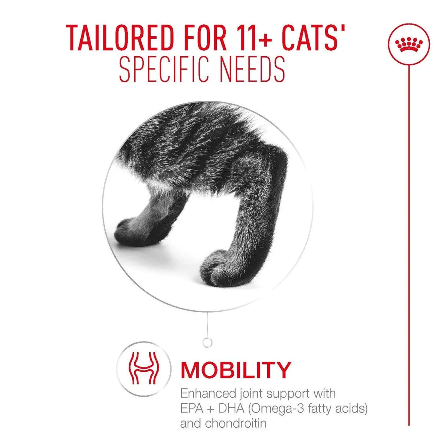 Royal Canin Feline Pouch Ageing +11 In [85g x 12]