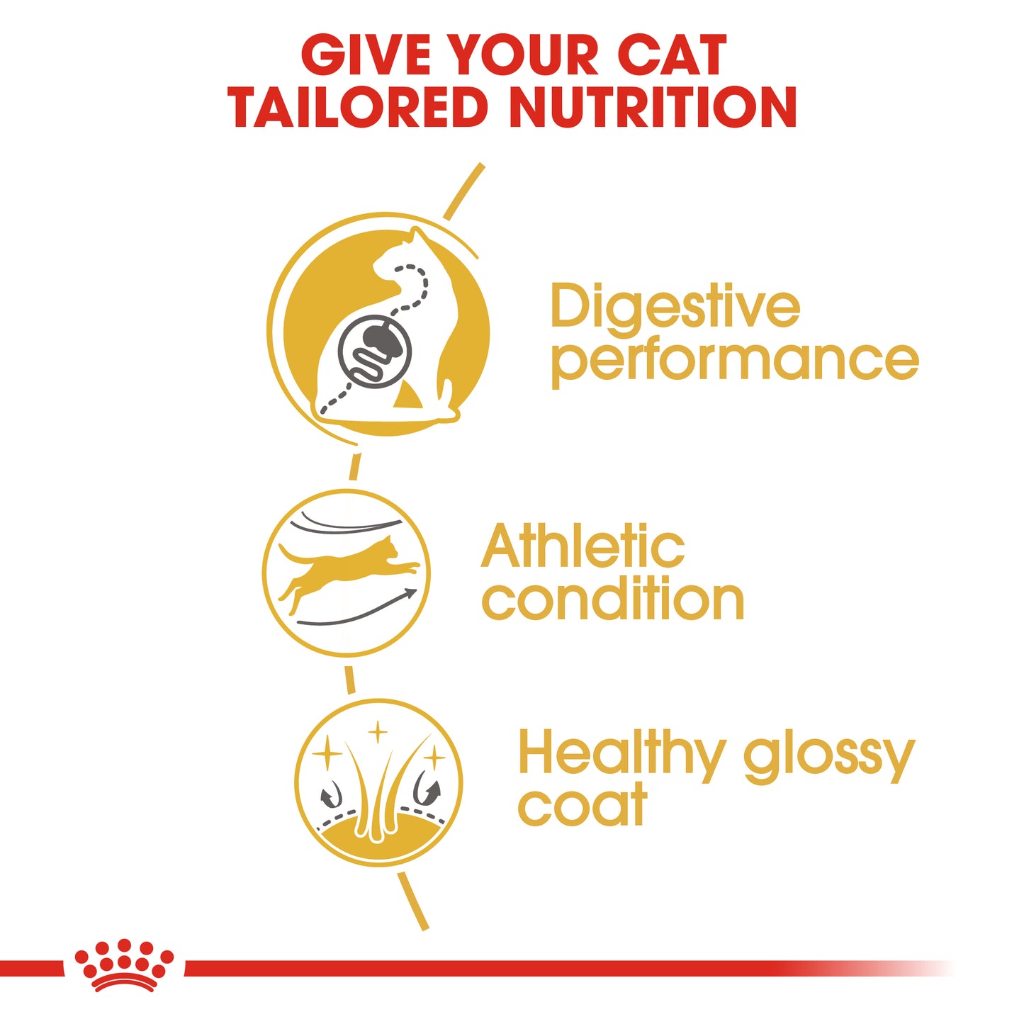 Royal Canin Feline Bengal 2kg