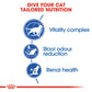 Royal Canin Feline Indoor 7+ 1.5kg