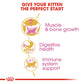 Royal Canin Feline British Shorthair Kitted 400g