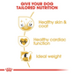 Royal Canin Canine Breed Golden Retriever Adult 12kg