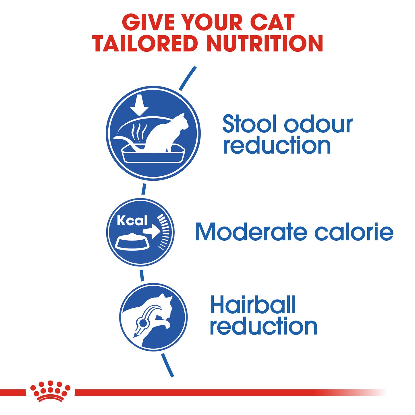 Royal Canin Feline Indoor 27 10kg