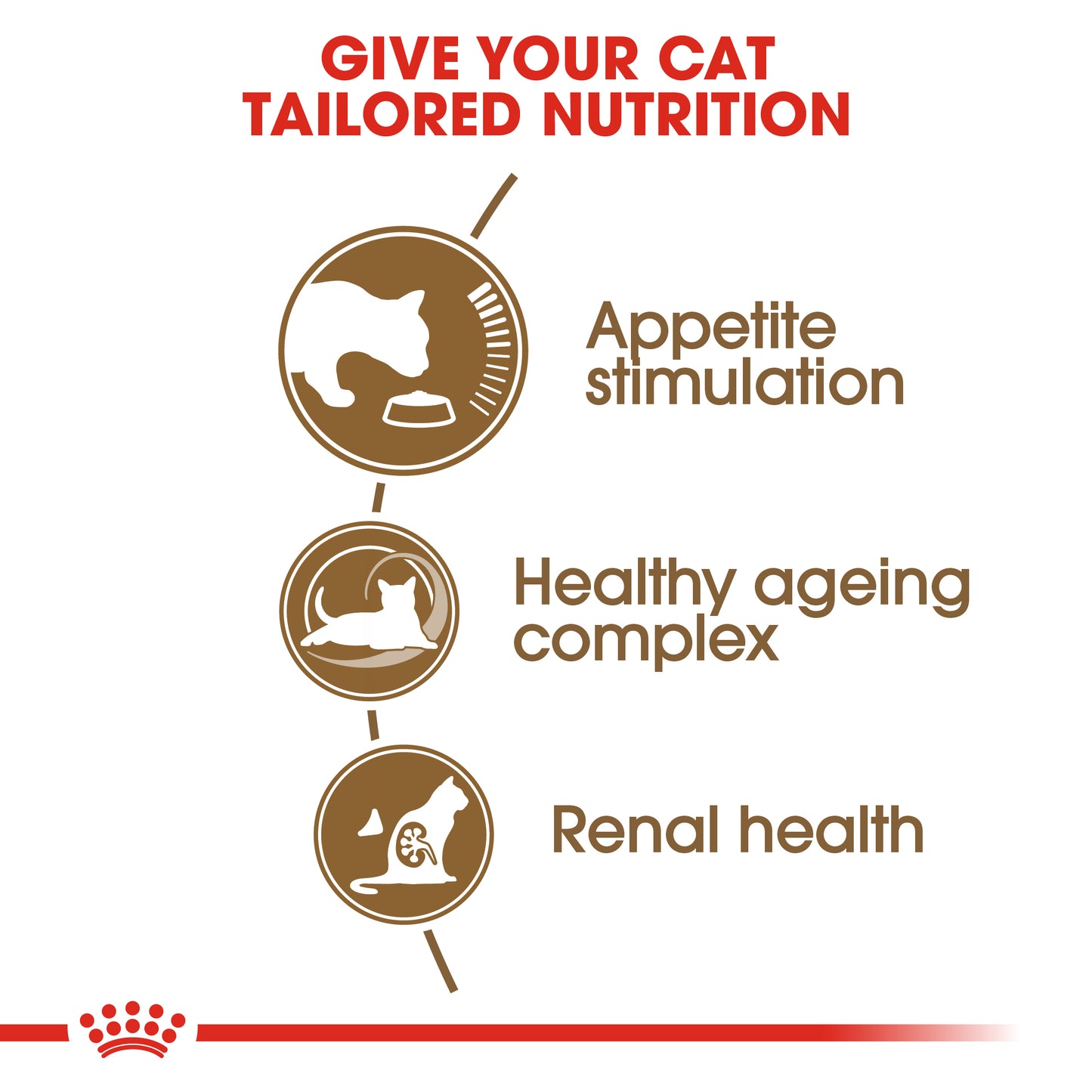 Royal Canin Feline Ageing 12+ 2kg