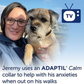 Adaptil Collar For Medium/Large Dog