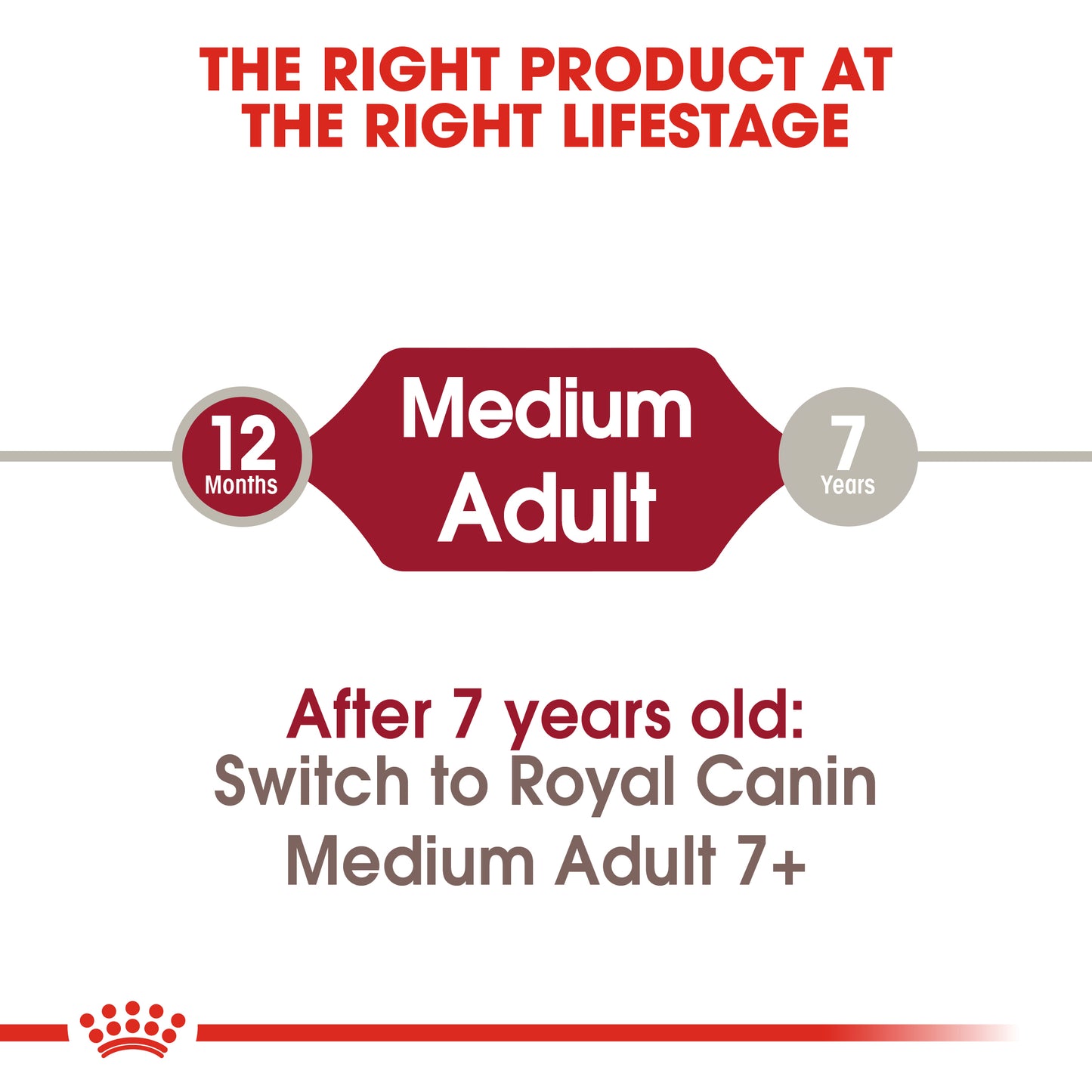 Royal Canin Canine Medium Adult 10kg