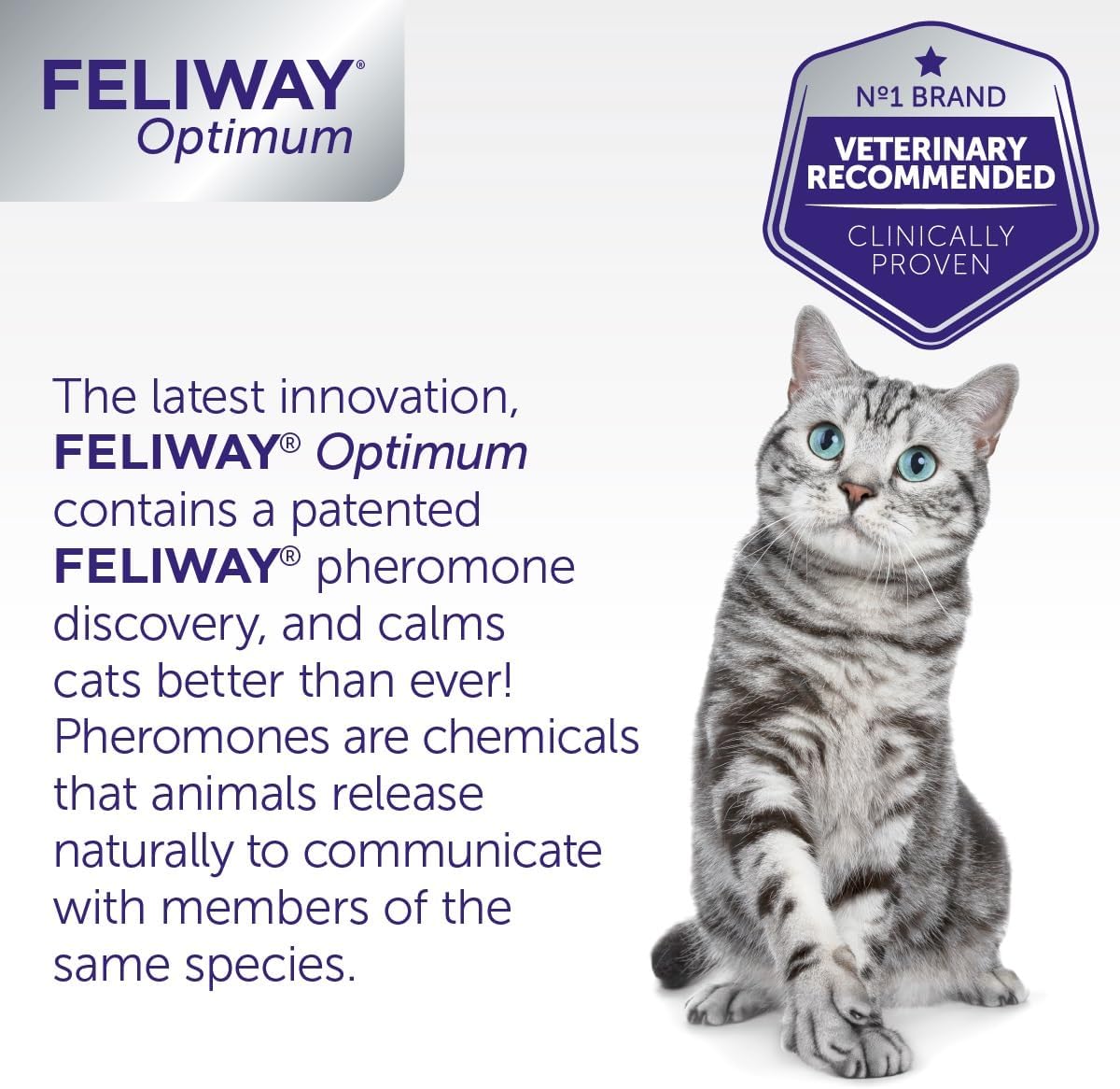 FELIWAY Optimum Refill 48 ml (Enhanced Serenity)