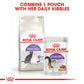 Royal Canin Feline Pouch Sterilised Chunks In Gravy [85g x 12]