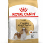Royal Canin - Canine Breed Cavalier King Charles Adult 1.5kg
