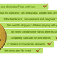 CatanDog"s Anti Fleas & Ticks Disc