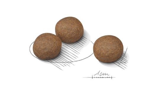 Royal Canin - Canine Medium Digestive Care 3kg