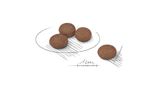 Royal Canin - Canine Mini Digestive Care 1kg