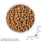 Wellness Core Grain Free Small Breed Puppy