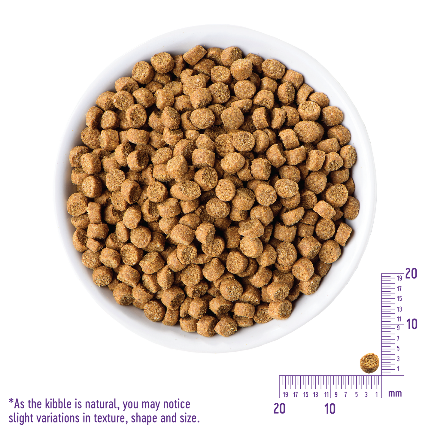 Wellness Core Grain Free Small Breed Puppy