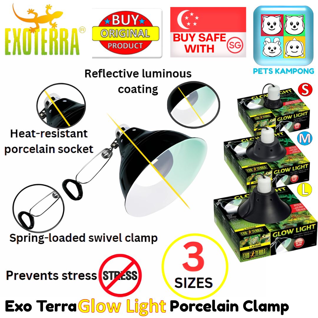 Exo Terra Glow Light Porcelain Clamp, Medium (PT2054)
