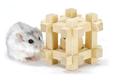 Wild 'Garigari' Cube Mini [WD466]