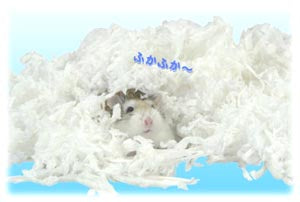 Wild Care Paper 4.5L [WD833]