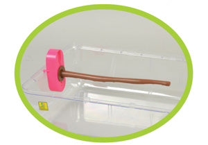 Wild Clips for Roomy- Available in Pink & Blue