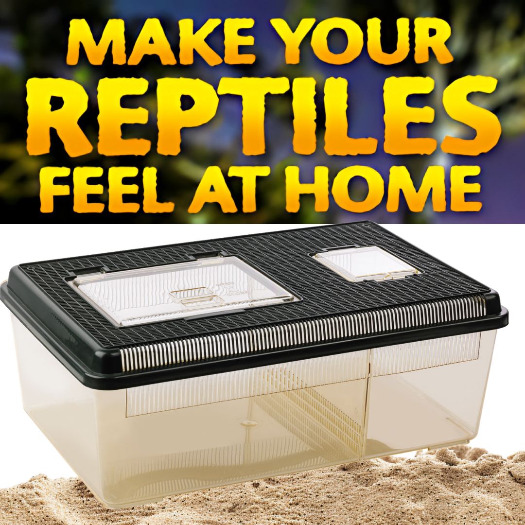 Exo Terra Faunarium Plastic Terrarium, Large (PT2310)