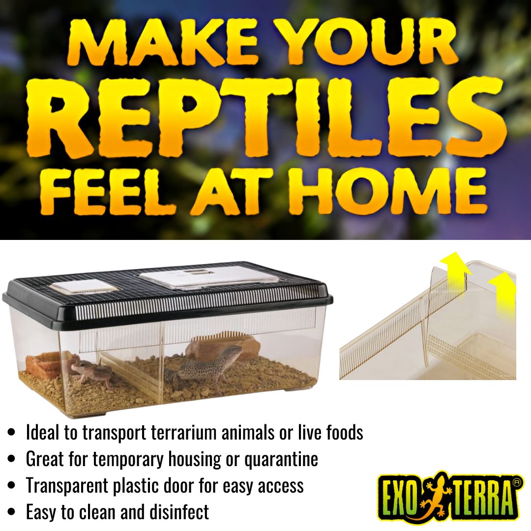 Exo Terra Faunarium Plastic Terrarium, Large (PT2310)