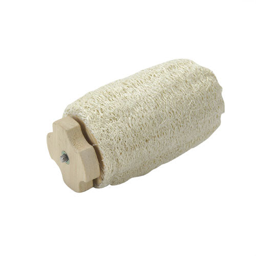 Wild Fixed Loofa Stick [WD631]