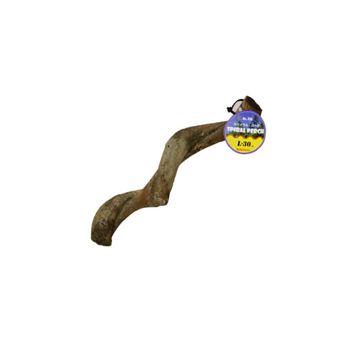 Wild Wood Perch L-30 [WD856]