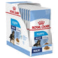 Royal Canin - Canine Maxi Puppy Pouch 10pcs - 140g