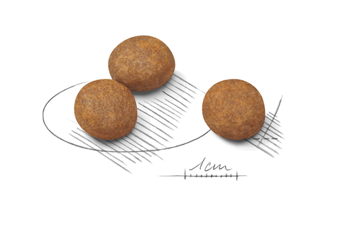 Royal Canin Canine Maxi Puppy 10kg