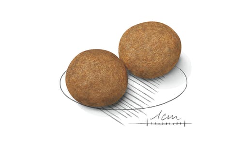 Royal Canin Canine Medium Adult 10kg