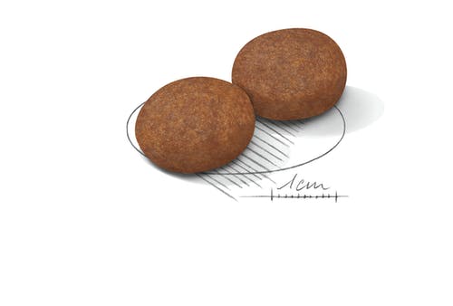 Royal Canin Canine Medium Adult 7+ 10kg