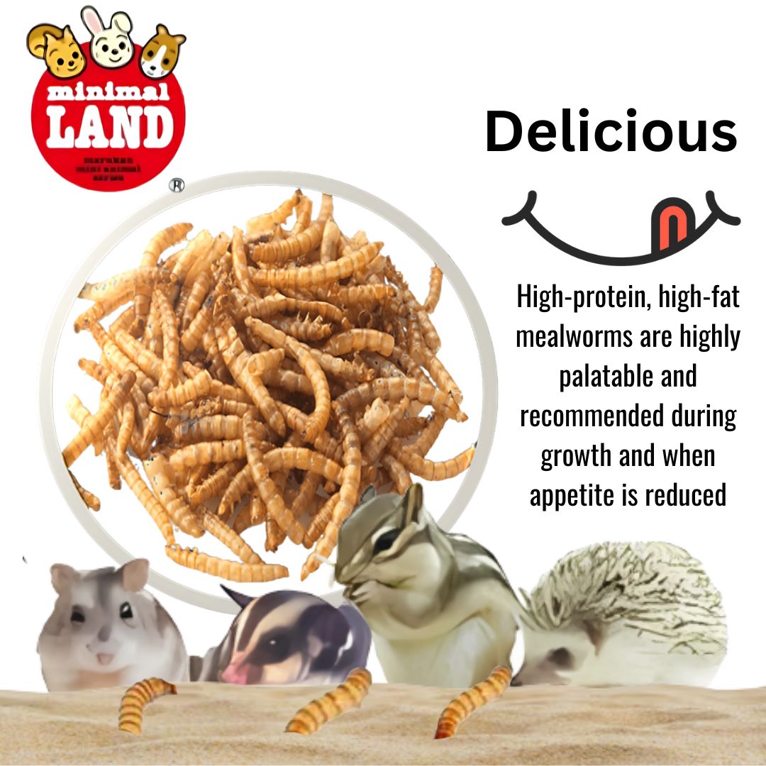 Marukan Dried Mealworm for Small Animals 80g (ML237)